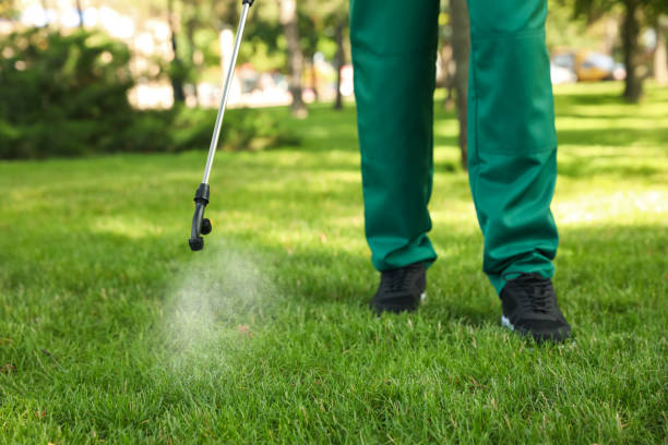 Best Wasp Removal Services  in Powell, TN