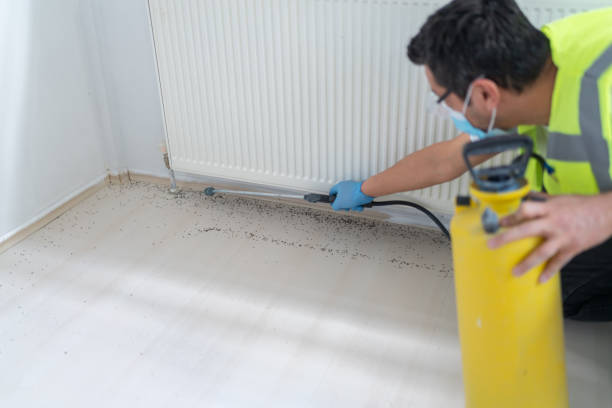 Best Cockroach Control Services  in Powell, TN